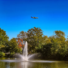 Load image into Gallery viewer, 0559 Park Fountain