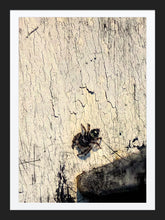Load image into Gallery viewer, 0322 Itsy-Bitsy Spider