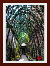 Load image into Gallery viewer, 0376 Green Walkway