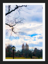 Load image into Gallery viewer, 0227 East Central Park