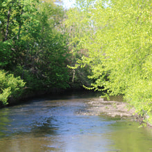 Load image into Gallery viewer, 0496 Down The Creek