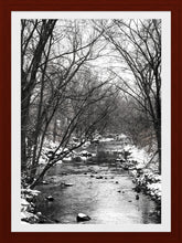 Load image into Gallery viewer, 0565 Wintry Creek