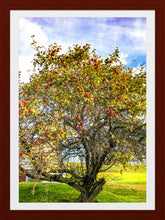 Load image into Gallery viewer, 0442 Apple Tree