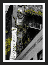 Load image into Gallery viewer, 0264 Don Giovanni's