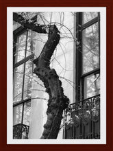 Load image into Gallery viewer, 0263 Chelsea's Vine