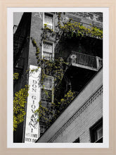 Load image into Gallery viewer, 0264 Don Giovanni's