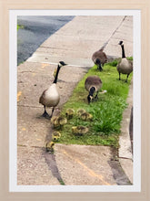 Load image into Gallery viewer, 0286 Family Meal