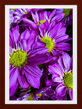 Load image into Gallery viewer, 0284 Seeing Purple With Some Green