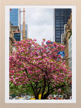 Load image into Gallery viewer, 0261 Park Avenue Beauty