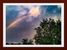 Load image into Gallery viewer, 0131 After The Storm