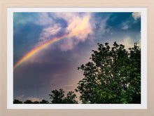 Load image into Gallery viewer, 0131 After The Storm