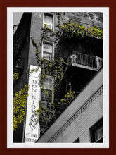 Load image into Gallery viewer, 0264 Don Giovanni's