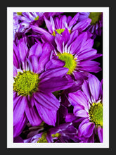 Load image into Gallery viewer, 0284 Seeing Purple With Some Green