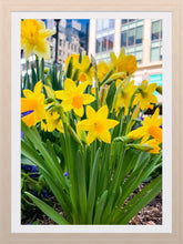 Load image into Gallery viewer, 0243 Mini 'Dils