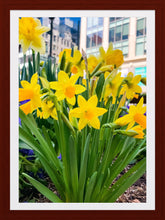 Load image into Gallery viewer, 0243 Mini 'Dils