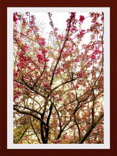 Load image into Gallery viewer, 0259 Flowery Branches