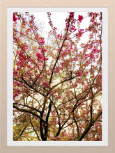 Load image into Gallery viewer, 0259 Flowery Branches
