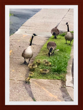 Load image into Gallery viewer, 0286 Family Meal