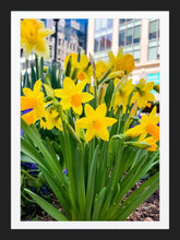 Load image into Gallery viewer, 0243 Mini 'Dils