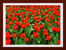 Load image into Gallery viewer, 0262 Grand Orange Display