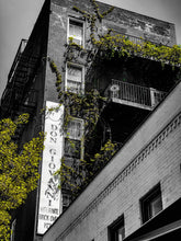 Load image into Gallery viewer, 0264 Don Giovanni's