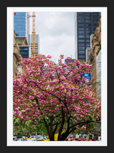 Load image into Gallery viewer, 0261 Park Avenue Beauty