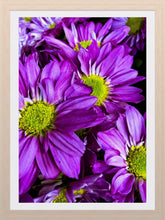 Load image into Gallery viewer, 0284 Seeing Purple With Some Green
